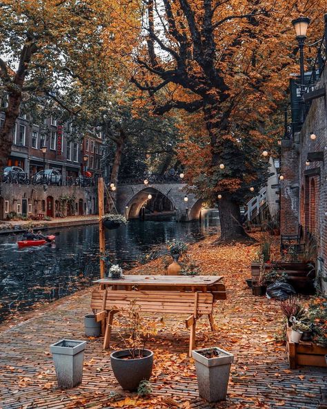 Autumn in Utrecht, the Netherlands - 9GAG Acnh Ideas, Van Gogh Museum, Autumn Scenery, Autumn Cozy, Autumn Aesthetic, Utrecht, Pretty Places, Fall Vibes, The Netherlands