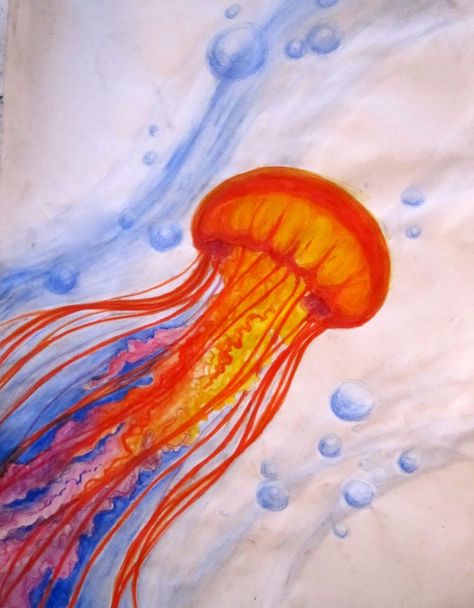 Jelly Fish Orange Jellyfish Painting, Jellyfish Painting, Orange Fish, Red Jelly, Painting Quotes, Jelly Fish, Pencil Crayon, Fish Painting, Permanent Marker