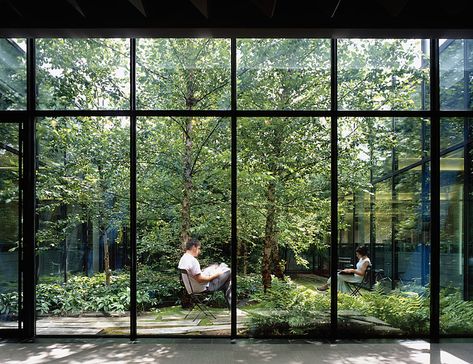 Internal Courtyard, Patio Interior, Courtyard House, Interior Garden, Courtyard Garden, Small Garden, Indoor Garden, The Window, Landscape Architecture