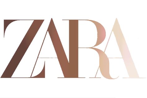 Zara Logo Aesthetic, Zara Logo Design, Zara App, App Icon Brown, Zara Logo, Presentation Slides Design, Slides Design, Color Palette Challenge, Brand Presentation