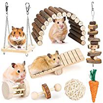 Hamster Chew Toys, Gerbil Toys, Hamster Accessories, Cage Hamster, Hamster Care, Hamster Toys, Syrian Hamster, Hamster House, Guinea Pig Toys