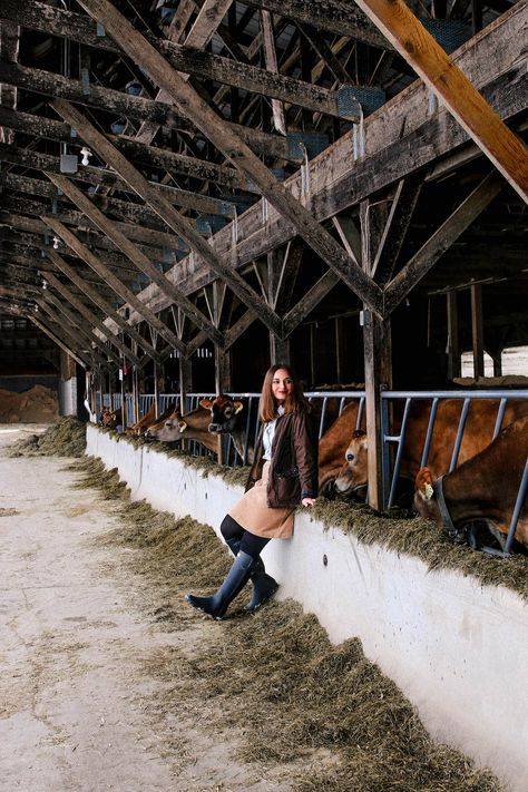 England Houses, Abandoned Farmhouse, Foto Cowgirl, Cattle Barn, Big Farm, Abandoned Cities, Jersey Cow, Farm Business, Farm Photography