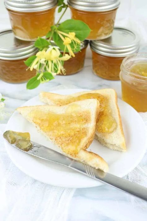 Check out this Honeysuckle Jelly Recipe! Find out how to make honeysuckle jelly and other honeysuckle uses you may not know about. Honeysuckle Jelly, Jelly Recipe, Jam And Jelly, Jelly Recipes, Food Garden, Jams & Jellies, Fragrant Flowers, Foods To Eat, Good Eats