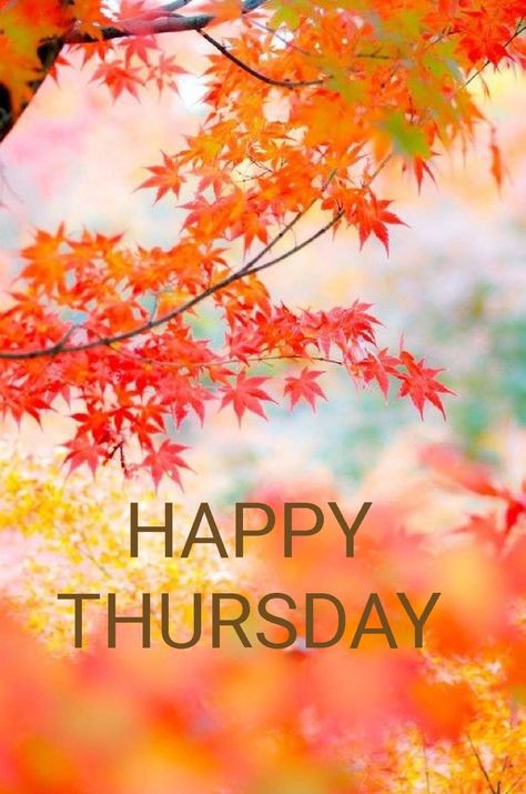 Hello Thursday, Thursday Images, Thursday Greetings, Morning Family, G Morning, Weekday Quotes, Morning Blessings, Good Morning Good Night, Fall Pictures