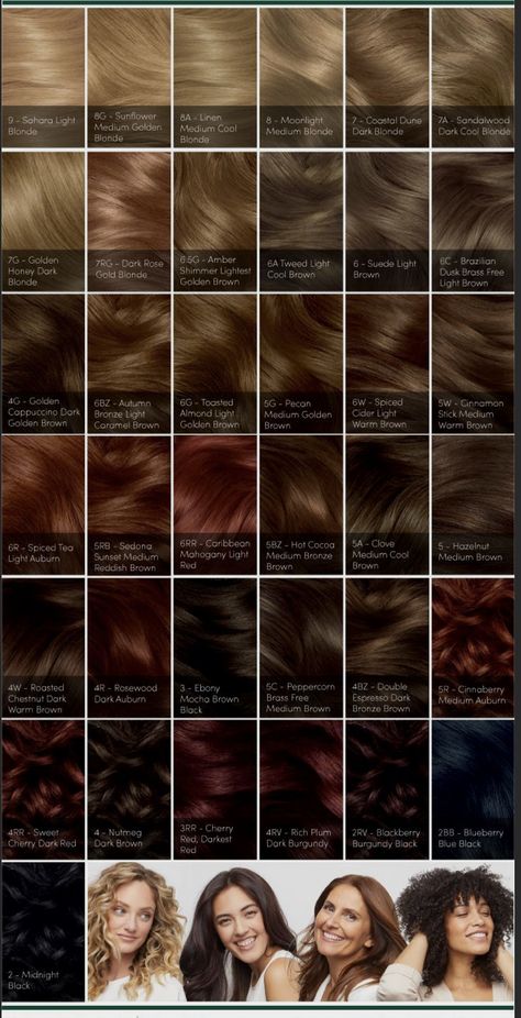 Black Brown Hair, Color Formulas, Chocolate Brown Hair, Hair Shades, Hair Inspiration Color, Hair Colors, Chocolate Brown, Hair Looks, Color Inspiration