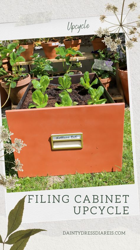 Filing cabinet drawer, painted, with lettuce inside, in garden. Old Drawers Repurposed Planters, Filing Cabinet Drawers, Upcycling Filing Cabinet, File Drawer Planter, Filing Cabinet Into Planter, File Cabinet Garden, Filing Cabinet Drawers Upcycle, File Cabinet Drawers Upcycle, Old File Cabinets Repurposed