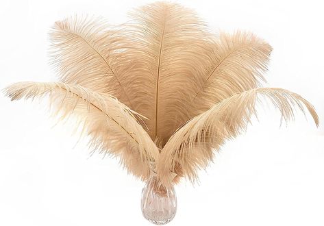 ★Designed for your favorite:24pcs of 10-12inch(25-30cm)feathers in a envelope, Unmissable combination of perfect quantity and affordable price. ★100% genuine natural Ostrich Feathers Plumes. All the feathers lost naturally. No plucking needed and no ostriches were harmed. All of our feather items have been professionally cleaned, steamed and sanitized to perfection. ★Perdect for Most Occasions: Bulk feathers are perfect for wedding centerpiece, floral arrangement, Table decoration, thanksgivin Dream Catcher Wedding, Feather Garland, Wedding Party Centerpieces, Feather Centerpieces, Flower Vase Arrangements, Boho Feathers, Dream Catcher Diy, Feather Crafts, Wedding Vases