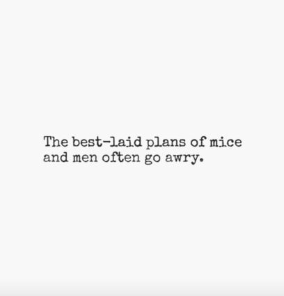 the best-laid plans of mice and men often go awry. Best Laid Plans Quotes, Of Mice And Men Quotes, Of Mice And Men Aesthetic, Mice And Men Quotes, Mice And Men, Realist Quotes, Planning Quotes, Beautiful Thoughts, Of Mice And Men