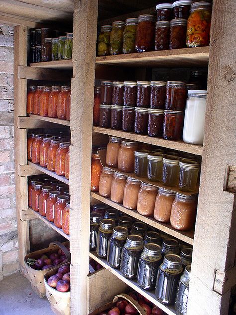 Reminds me of my grandma's basement stash of canned goods. Cold Cellar, Root Cellars, Canned Food Storage, Root Cellar, Home Canning, Cold Storage, Hip Pain, Cleaning Ideas, Canned Food