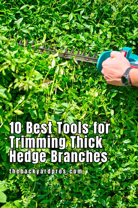 Professional-Grade Trimming Tools! Discover the best hedge trimmers perfect for cutting through thick branches. Our top picks ensure you get the job done quickly and efficiently, every time. Hedge Trimmer Accessories, Hedge Trimmer, Hedge Trimmers, Hedges, Get The Job, Wellness Design, Tools, 10 Things