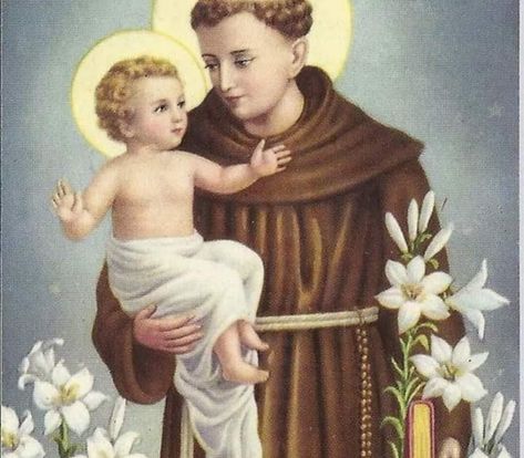 Saint Antonio, Litany Of The Saints, Susi Rejano, St Padre Pio, Saint Anthony Of Padua, Illustrated Manuscript, Catholic Pictures, Santo Antonio, Catholic Images