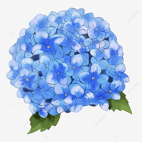 A Flower Drawing, Painted Hydrangea, Bright Red Flowers, Flower Boquet, Leaf Watercolor, Wedding Wine Bottles, Blue Png, Blue Drawings, Watercolor Girl