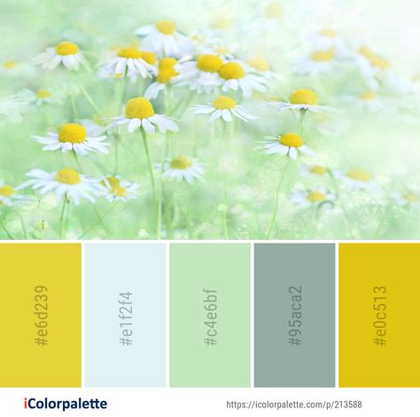 Light Blue Green Yellow Color Palette, Daisy Colour Palette, Yellow Color Palette Colour Schemes, Yellow Pallete Color, Daisy Color Palette, Sunshine Color Palette, Yellow Color Palettes, Color Palette Theme, Graphics Design Inspiration