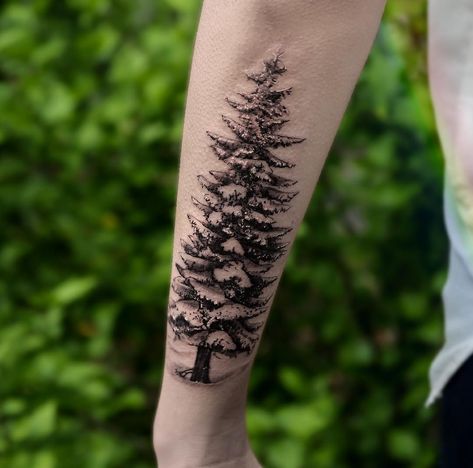 Snowy Pine Tree by Turan at BangBang, NYC Evergreen Tattoo, Maquillaje Smokey Eyes, Evergreen Tree Tattoo, Pine Tattoo, Winter Tattoo, Snow Tattoo, Cool Back Tattoos, Latest Tattoo Design, Black Art Tattoo