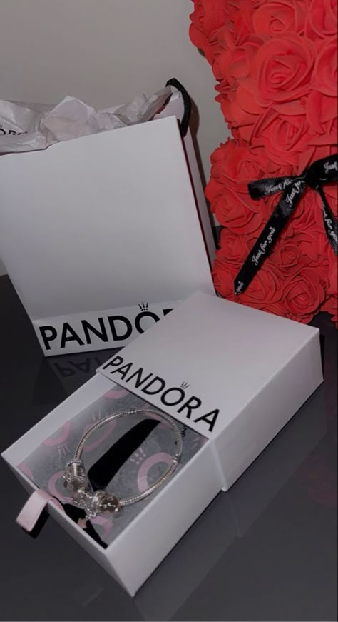 Pandora Gift Aesthetic, Pandora Fake Story, Pandora Aesthetic, Pandora Story, Fake Gifts, Cute Promise Rings, Shopping Pictures, Pandora Bracelet Designs, Bff Birthday Gift