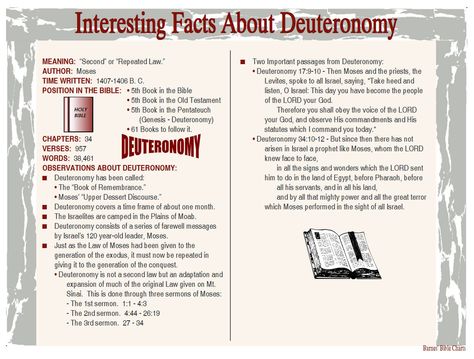 Interesting Facts about Deuteronomy Deuteronomy Bible Study, Deuteronomy Bible Study Notes, Deuteronomy 10:12, Interesting Bible Facts, Jesus Bible Verses, Interesting Facts About Deuteronomy, Deuteronomy 1:30-31, Biblical Timeline, Book Of Deuteronomy