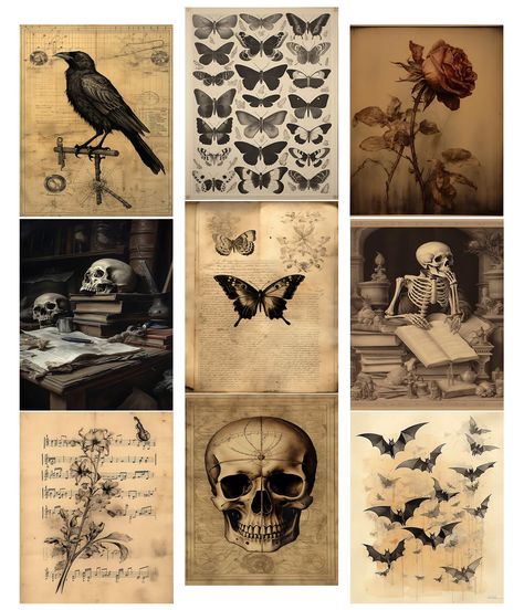 PRICES MAY VARY. Size: Each piece measures 8x10 inches, making it a perfect fit for your gothic decor theme. Portable and gift-worthy: Easy to move and display, these gothic decor pieces also make ideal gifts for friends and family who appreciate dark and mysterious aesthetics. Perfect gifts for your loved ones: Surprise your loved ones with these unique gothic decor items. They'll appreciate the thoughtfulness and the opportunity to enhance their gothic home decor collection. High quality: Craf Gothic Halloween Decorations Indoor, Gothic Romance Decor, Gothic Classroom Decor, Dark Cottage Core Decor, Western Gothic Decor Bedroom, Boho Gothic Decor, Dark Witch Aesthetic Bedroom, Gothic Party Decorations, Goth Decor Bedroom