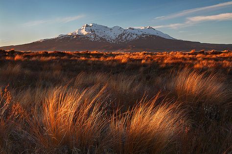 Mt. Ruapehu Sunset | Flickr - Photo Sharing! Mt Ruapehu New Zealand, Mt Ruapehu, Winter Pics, North Island New Zealand, Boot Room, Winter Pictures, Cook Islands, Pictures To Draw, Landscape Photos