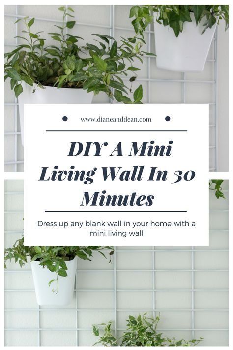 DIY living wall tutorial Wall Planter Diy, Diy Living Wall, Living Wall Diy, Wall Plants Indoor, Plant Wall Diy, Indoor Plant Stands, Plant Stand Ideas, Living Wall Indoor, Living Wall Planter