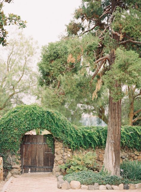 Fall San Diego Wedding at Rancho Buena Vista Adobe How I Wish, Twinkling Lights, San Diego Wedding, Twinkle Lights, Wedding Bells, Bride And Groom, Style Me Pretty, Fails, The Bride