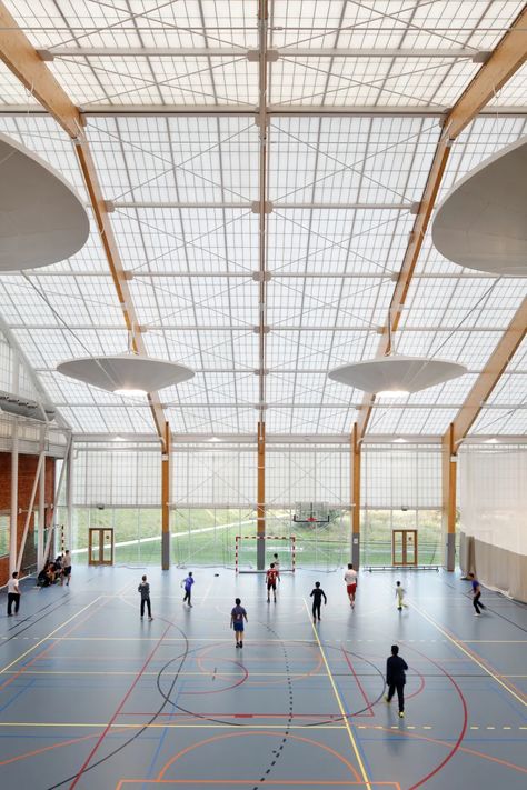 Verdick & Verdickt ARCHITECTEN, Stijn Bollaert · Reconversion of the WDT-Loods, Park Spoor Noord · Divisare Sports Facility Architecture, Sports Facility, Green Gym, Stadium Architecture, Multipurpose Hall, Sports Hall, Indoor Pools, Sport Park, Timber Buildings