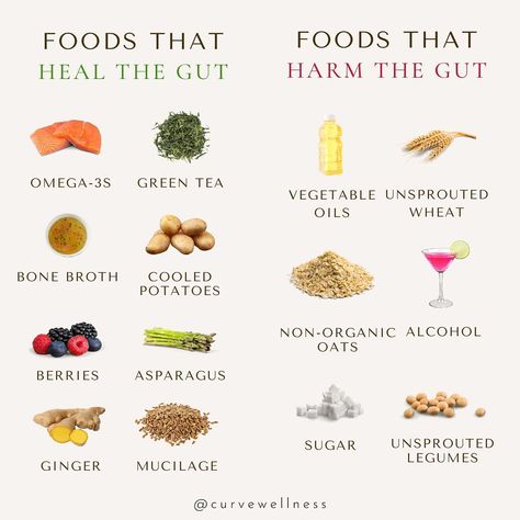 sophia ruiz | healing acne on Instagram: “What we eat can either support our gut health or break down our gut health.⁣ ⁣ If you’ve spent any time diving into the world of holistic…” Cooking Conversion Chart, Healing Acne, Healing Diet, Holistic Diet, Health Post, Gut Healing, Healing Food, Holistic Nutrition, Nutrition Education