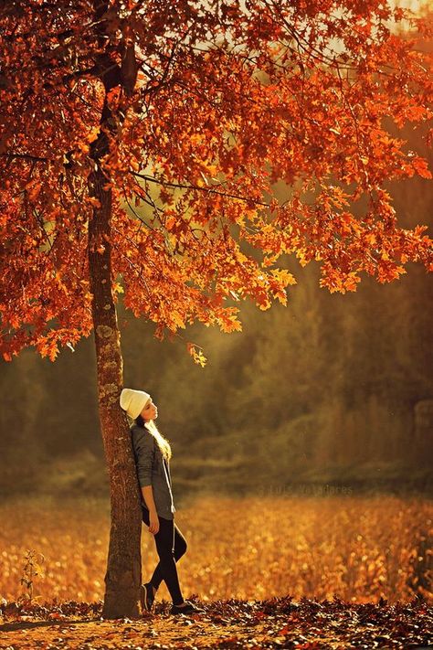 15 Fall Photoshoot Ideas To Get Some Serious Inspo - Society19 Portret Feminin, Fall Shoot, Fall Portraits, Shotting Photo, Photographie Portrait Inspiration, Have Inspiration, Foto Tips, Fall Photoshoot, Trik Fotografi