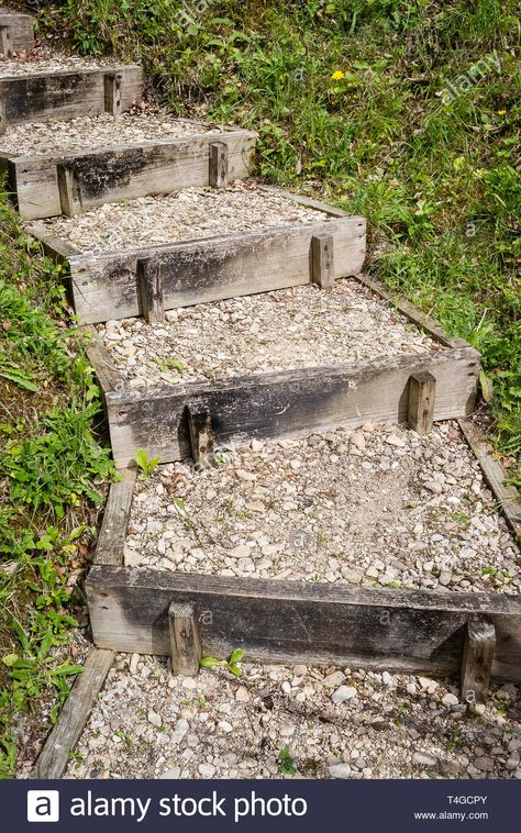 Download this stock image: A simple rising path ascending a garden slope in the UK - T4GCPY from Alamy's library of millions of high resolution stock photos, illustrations and vectors. Garden Path On Hill, Easy Garden Steps, Sloping Garden Path, Garden Path Slope, Garden Stairs On A Slope, Diy Steps On A Slope, Garden Stairs Ideas, Garden Steps Diy, Steps On A Slope