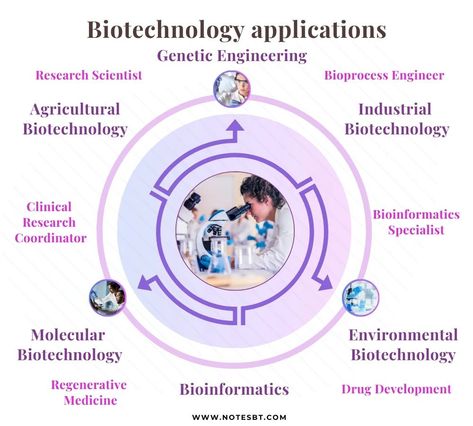 📌 Biotechnology Scope and Career - Applications 👩‍🔬 🔬 Biotechnology Overview: 🔍 Research Areas: 💼 Career Opportunities: 🧬 Medical Biotech Advancements: Check out website NOTESBT #biotechnology #biotechnologist #fypシ #fypppp #lab Biotechnology Poster, Medical Biotechnology, Biotechnology Careers, Biomedical Science, Genetic Engineering, Research Scientist, Biotechnology, Career Opportunities, Biology