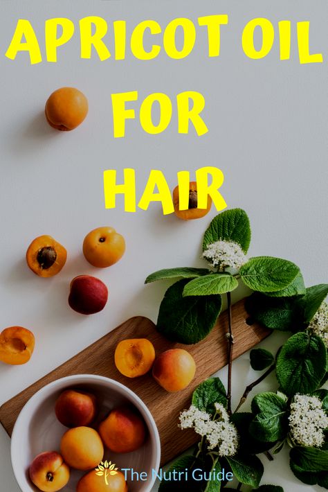 Learn how to use apricot oil to naturally improve the strength and growth of your hair- Learn the benefits that apricot oil has on both skin & hair #apricotoil #essentialoils #hiarcare #naturallyremedy #EO Apricot Oil For Hair, Apricot Kernel Oil Benefits, Apricot Oil Benefits, Scalp Hair Growth, Diy Moisturizer, Fruit Bearing Trees, Apricot Seeds, Promote Hair Growth, Apricot Oil