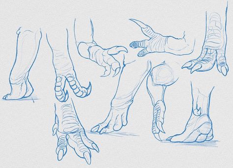 Hands and feet. #dinosaur #sketch #drawing Dinosaur Legs Drawing, Dinosaur Feet Drawing, Theropod Anatomy, Dinosaur Anatomy, Dinosaur Reference, Silent Hill Art, Dragon Poses, Dinosaur Sketch, Cat Anatomy