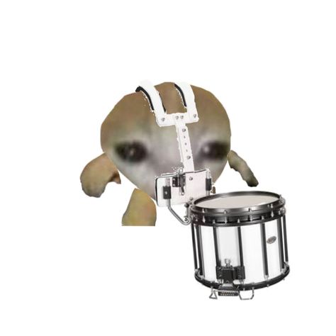 Monkey Playing Drums, Marching Drum, Marching Snare, Drum Band, Drum Sets, Band Camp, Band Kid, Band Humor, Musical Art