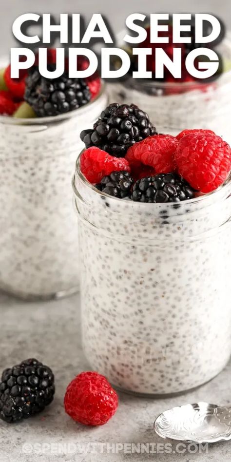 Chia seed pudding is a creamy and healthy meal to start the day. This chia seed pudding recipe is so easy to prepare in advance and have ready for a quick morning breakfast. Made with milk, yogurt, fruit, honey, and some chia seeds, the ingredients are so simple. And it is a snap to change up this recipe. To make it sweeter add chocolate or add a low-carb sweetener like Swerve to make it keto friendly. #chiaseedpudding #chiaseedpuddingrecipe #chiapudding #spendwithpennies Healthy Chia Seed Pudding, Quick Morning Breakfast, Easy Chia Seed Pudding, Chia Seed Pudding Recipe, I Lost 100 Pounds, Chia Seed Recipes Pudding, Low Carb Sweeteners, Cake Mug, Cheap Healthy Meals