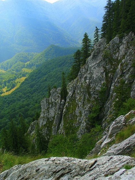 There are 204 named mountains in Bihor. Vf. Buteasa is the highest point. The most prominent mountain is Vf. Pleșu. Carpathian Mountains Romania, Romania Mountains, Confusing Photos, Perspective Images, Carpathian Mountains, River Art, Natural Landscapes, Beautiful Forest, John Muir