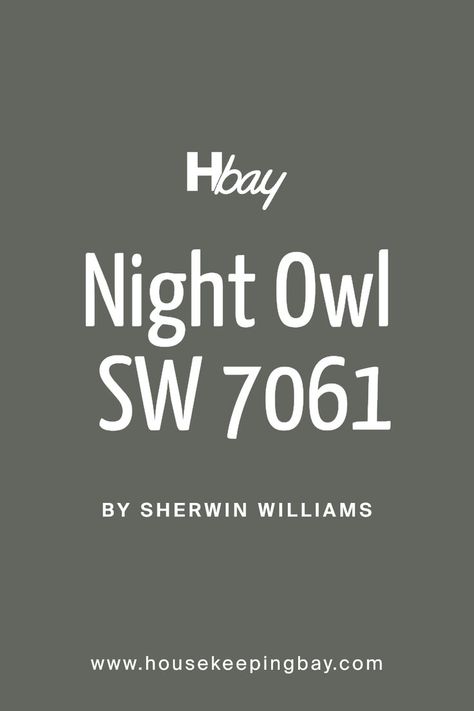 Night Owl SW 7061 by Sherwin Williams Night Owl Sherwin Williams, Sherwin Williams Gray Paint Colors, Sherwin Williams Paint Gray, Sherwin Williams Coordinating Colors, Best Greige, Gray Paint Colors, Sherwin Williams Gray, Trim Colors, Grey Paint Colors