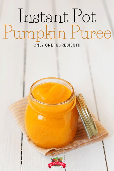 Make Pumpkin Puree, Instant Pot Pumpkin, Pumpkin Puree Recipes, Fall Goodies, Pumpkin Dip, Oatmeal Cream Pies, Pumpkin Chocolate Chip Muffins, Fresh Pumpkin, Pumpkin Scones