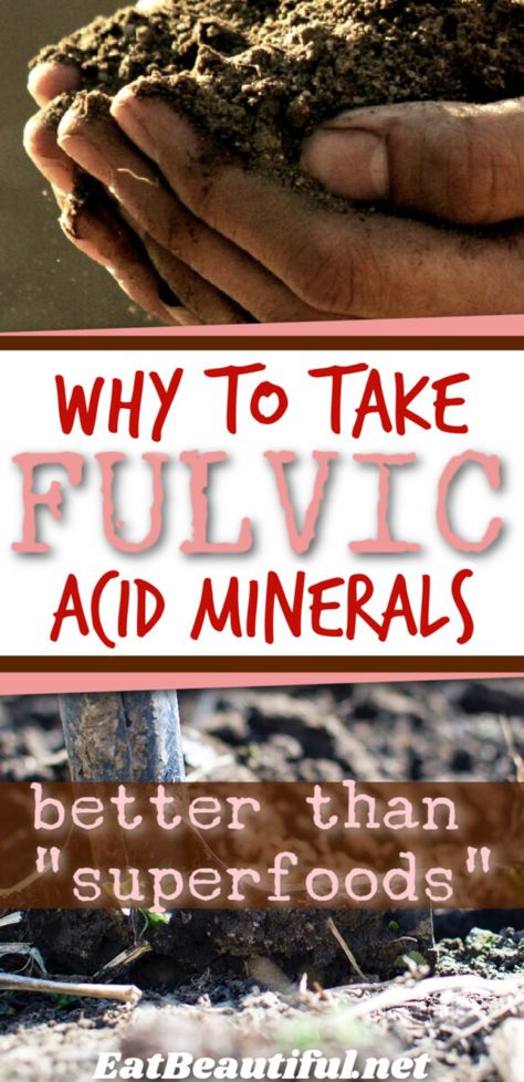 We discuss 6 benefits, including cell health, detoxification, antioxidant benefits and more. | fulvic acid | benefits | fulvic minerals | humic | natural health | DIY | supplements | soil minerals || #fulvic #minerals #detox #energy #soil Benefits Of Shilijat, Zeolite Benefits Health, Fulvic Minerals Benefits, Diy Supplements, Serrapeptase Benefits, Zeolite Benefits, Fulvic Acid Benefits, Fulvic Minerals, Detox Symptoms