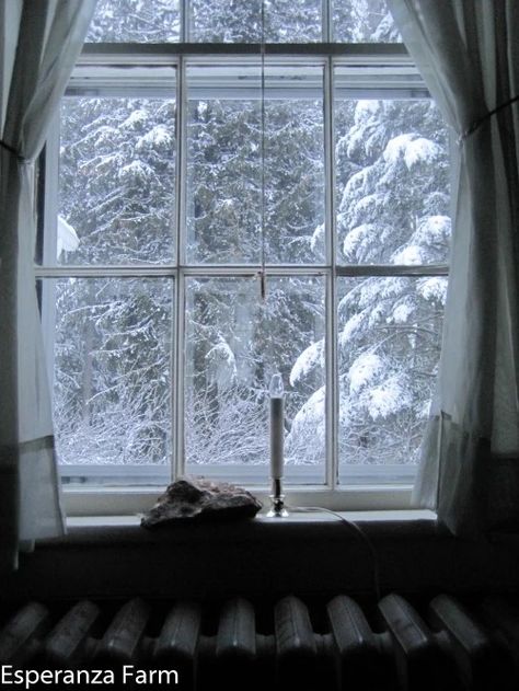 Winter Windows «Acair Fearann Acair Fearann Winter Windows, Snowy Window, Aesthetic Window, Snow Outside, Hate Winter, Snow Images, Motion Photography, Winter Window, Street Trees