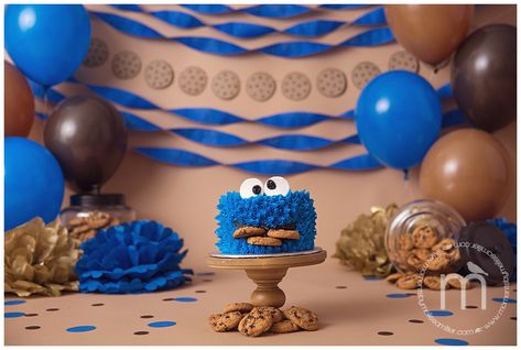 Cookie Monster Half Birthday, Cookie Monster Half Birthday Photoshoot, Cookie Monster 1st Birthday Photoshoot, Cookie Monster Pictures, Cookie Monster 1st Birthday Balloon Garland, Cookie Monster Photo Shoot 1st Birthdays, Cookie Monster Half Birthday Cake, Cookie Monster 1st Birthday, Cookie Monster Cake Smash