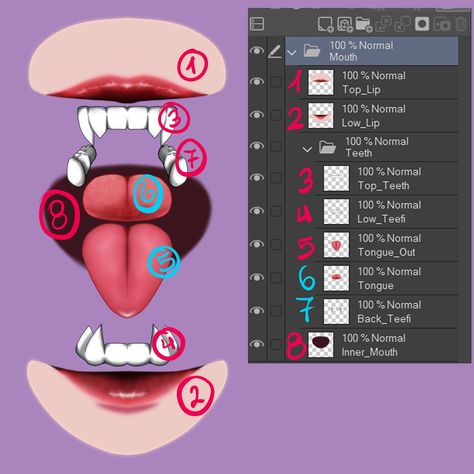 Vtuber mouth -divided into layers - CLIP STUDIO ASSETS Vtuber Model Mouth, Vtuber Model Layers, Make Vtuber Model, Chibi Vtuber Base, Vtuber Eye Layers, Vtuber Mouth Reference, Vtuber Model Tutorial, Vtuber Mouth Layers, Vtuber Art Reference