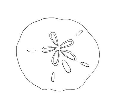 sand dollar Sand Dollar Drawing Simple, How To Draw A Sand Dollar Step By Step, Simple Sealife Tattoo, Pansy Shell Tattoo, Sand Dollar Line Art, Sand Dollar Tattoo Simple, Sandollar Drawing, Sand Dollar Sketch, Tiny Sand Dollar Tattoo