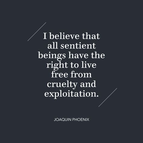 Image featuring Joaquin Phoenix's quote overlay: "I believe that all sentient beings have the right to live freely from cruelty and exploitation." A thought-provoking message promoting compassion and animal rights. Exploitation Quotes, Sentient Beings, Luck Quotes, Good Luck Quotes, Joaquin Phoenix, Powerful Quotes, Cruelty Free, Phoenix, Gems