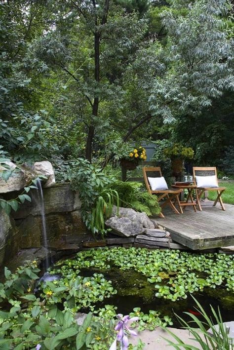 55 Visually striking pond design ideas for your backyard Backyard Aquarium, Garden Pond Design, Fountains Backyard, Aquarium Ideas, Backyard Seating, Backyard Water Feature, Pond Landscaping, Natural Pond, Waterfalls Backyard