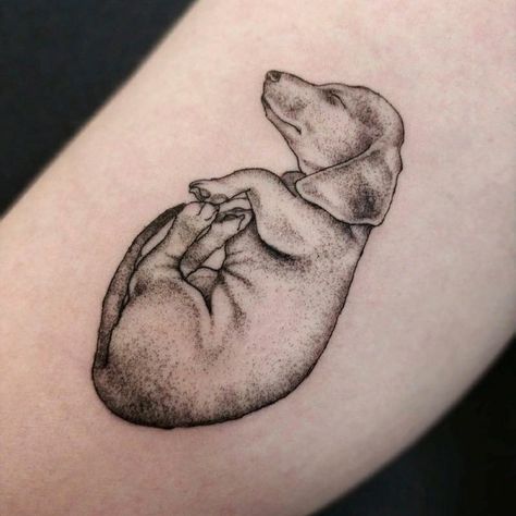 Doxie Tattoo, Daschund Tattoo, Will Tattoo, Arte Dachshund, Puppy Tattoo, Dachshund Tattoo, Dachshund Art, Memorial Tattoos, Subtle Tattoos