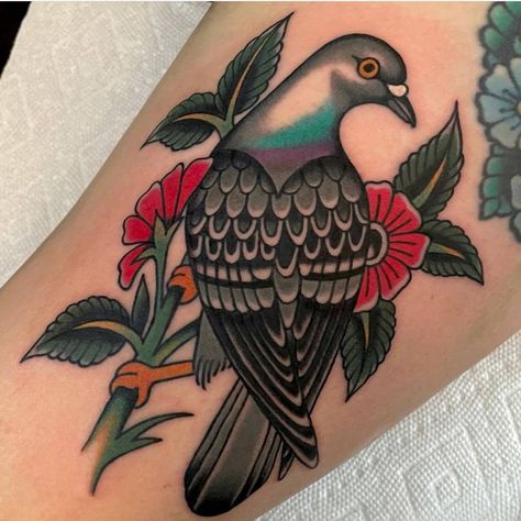 Traditional Dove Tattoo Old School, Two Birds Traditional Tattoo, Quail Tattoo Traditional, Neo Traditional Dove Tattoo, American Traditional Pigeon Tattoo, Dove American Traditional Tattoo, Dove Traditional Tattoo, Pigeon Tattoo Traditional, Bird Tattoo American Traditional