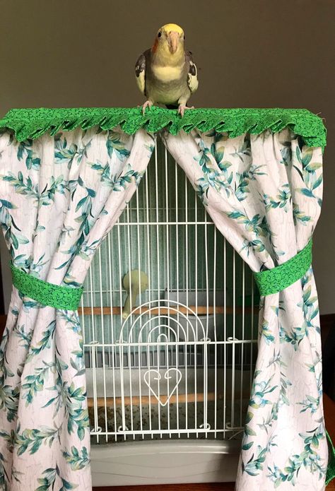 Gnome Animals, Diy Birdcage, Homemade Bird Toys, Parakeet Care, Diy Bird Cage, Cage Decor, Diy Bird Toys, Small Bird Cage, Parakeet Cage