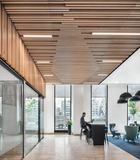 Treasury Dock – Perkins&Will Baffle Ceiling, Atrium Design, Office Ceiling, Cafe Seating, Ceiling System, Timber Panelling, Lobby Interior, Corporate Interiors, Ceiling Light Design