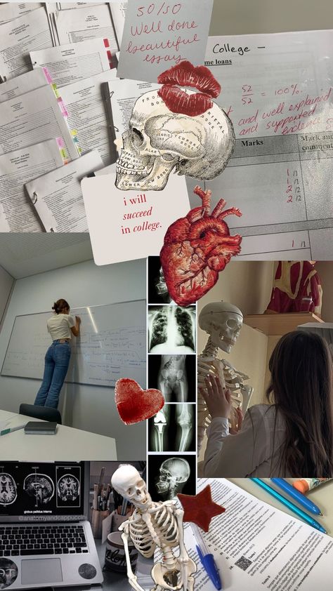 #medical #radiology #nursing #school #college #study Radiology Aesthetic, Radiology Schools, Radiology Nursing, I Will Succeed, Medical Student Motivation, Tech Aesthetic, College Aesthetic, Health Careers, College Study