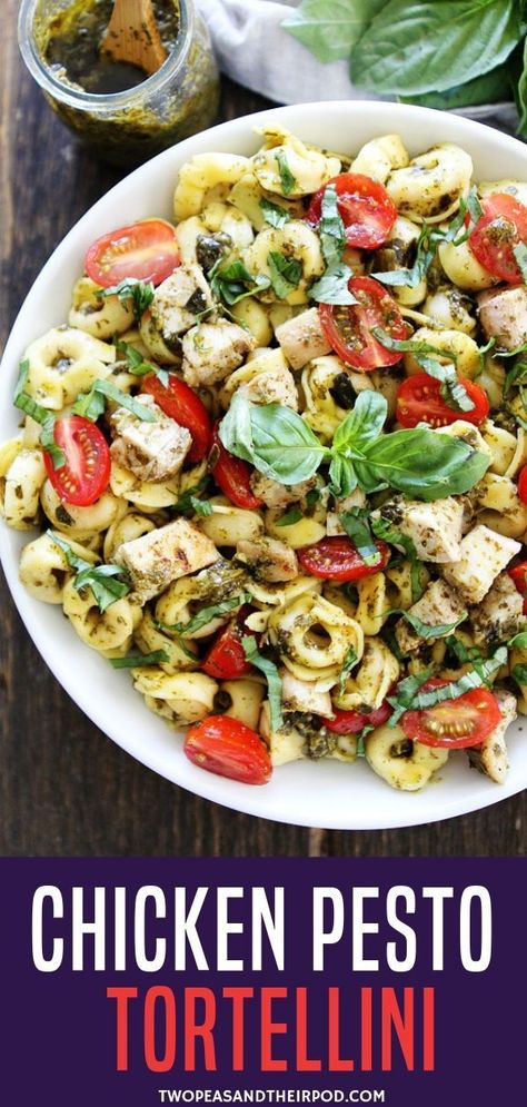 Chicken Pesto Tortellini, Easy Chicken Pasta Dishes, Baked Tortellini Recipes, Chicken Pasta Dish, Pesto Dishes, Cheese Tortellini Recipes, Easy Pasta Recipe, Baked Pesto Chicken, Chicken Pasta Dishes