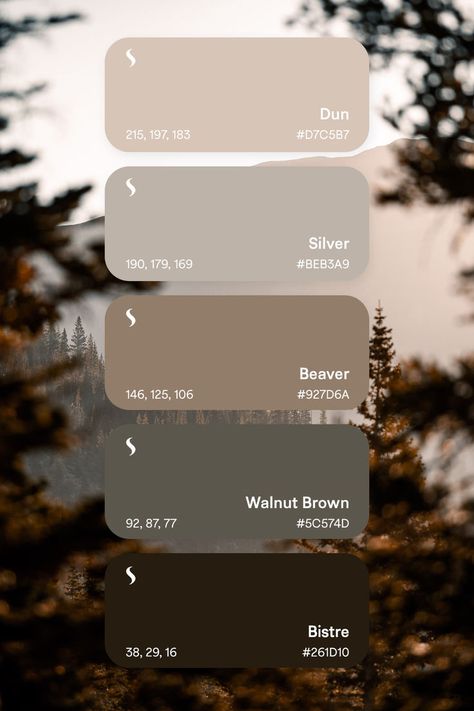 image shows mountain range in Colorado with a neutral color palette focus Fonts Creative, Neutral Color Palette, Digital Assets, Typographic Design, Neutral Colour Palette, Neutral Color, Lightroom Presets, Neutral Colors, Lightroom